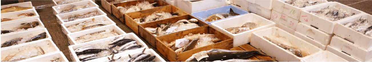 当社は平成20年、魚の運搬用木箱づくりからスタートいたしました。その後発泡スチロールの可能性に着目し、現在は水産・農業・食品・工業等幅広い分野の梱包・包装資材を、全国のお客様に提供しております。